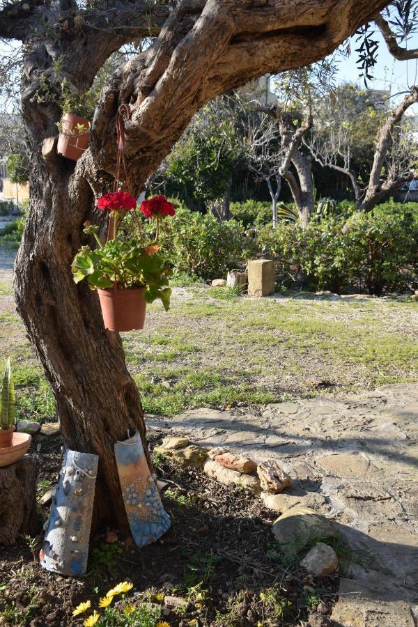 パチェーコ Casa Dell'Olio - Al Baglioヴィラ エクステリア 写真