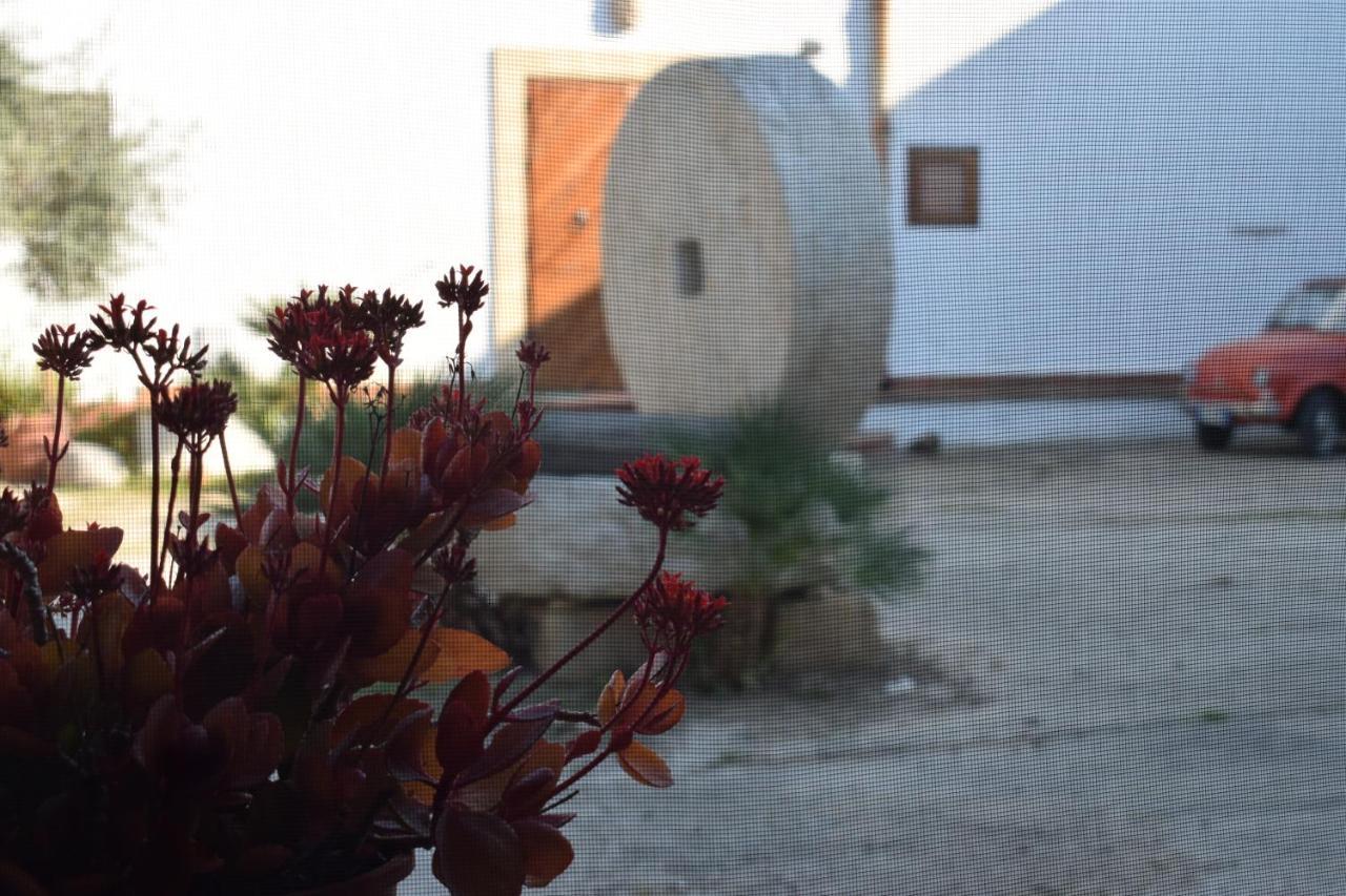 パチェーコ Casa Dell'Olio - Al Baglioヴィラ エクステリア 写真